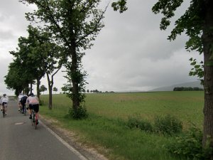 Devese 2010 030